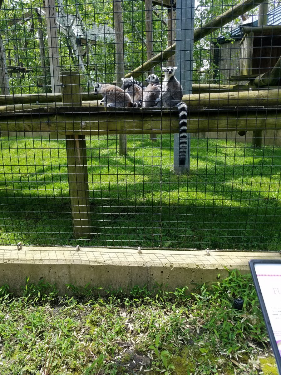 20190524_123551.jpg