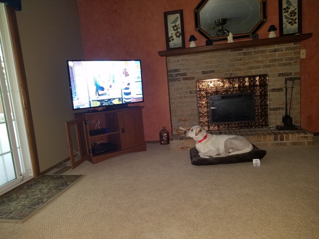 20190601_075726.jpg