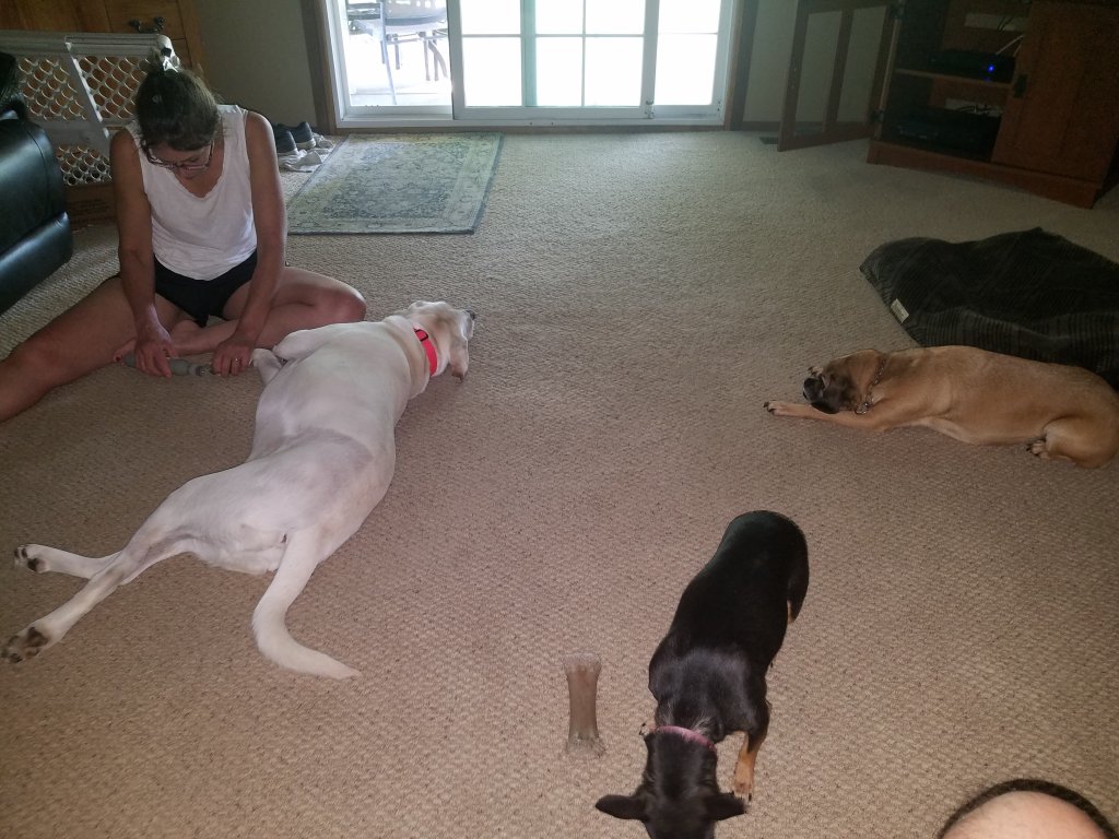 20190623_181612.jpg