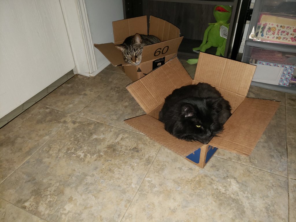 20190714_113718.jpg