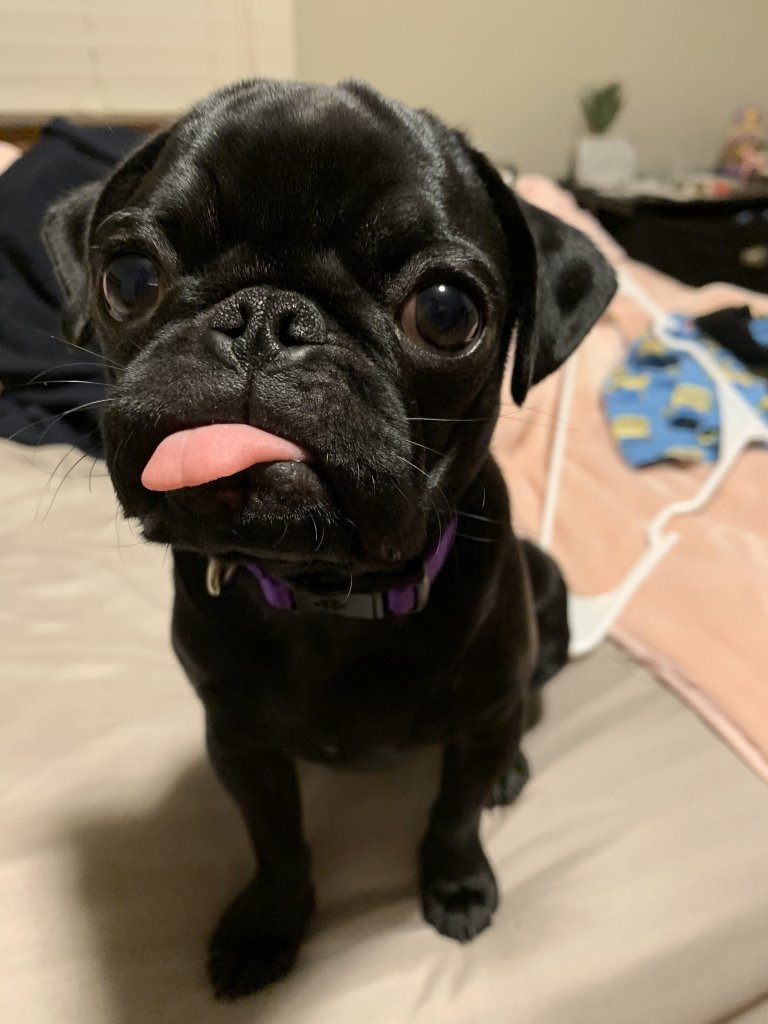 20190808_014935850_iOS.jpg