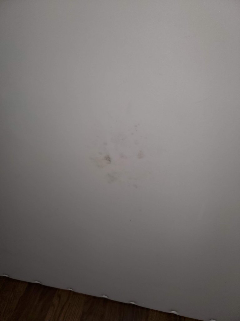 20190923_135255.jpg