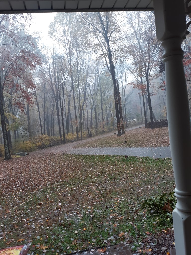 20191027_103537.jpg