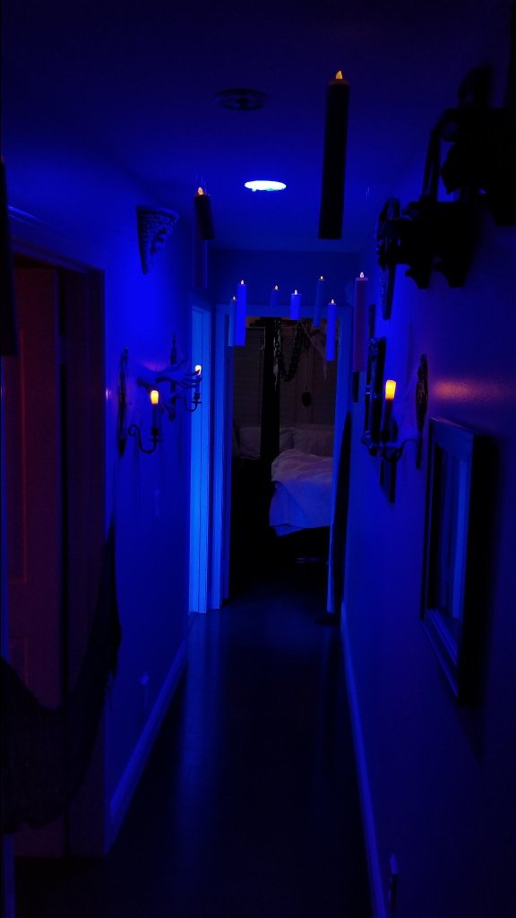 20191027_111450-5036.jpg