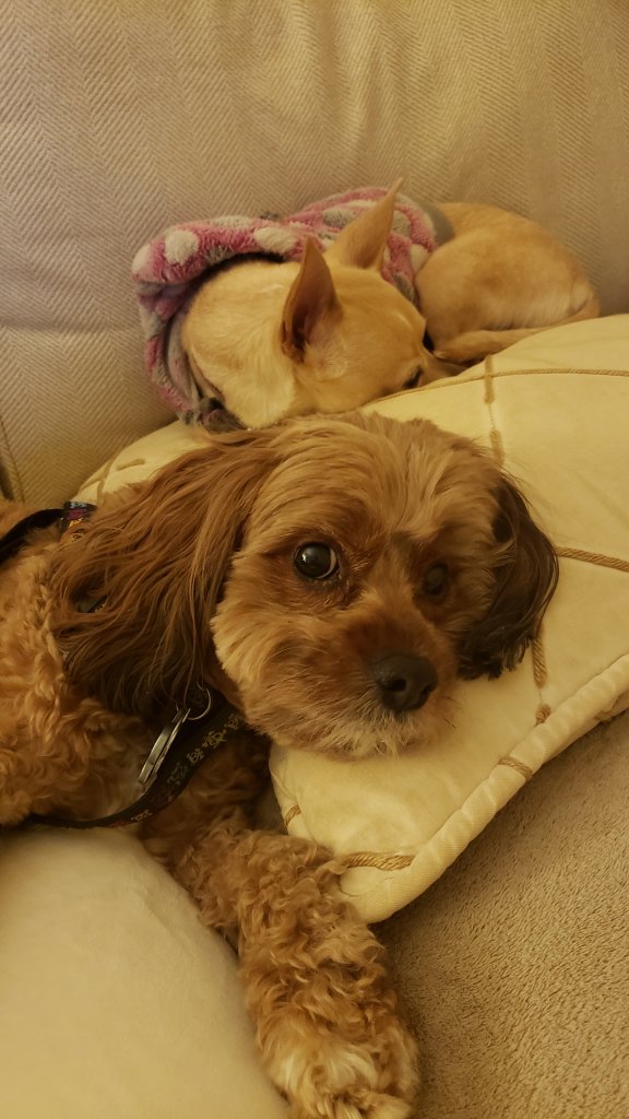 20191224_214546.jpg