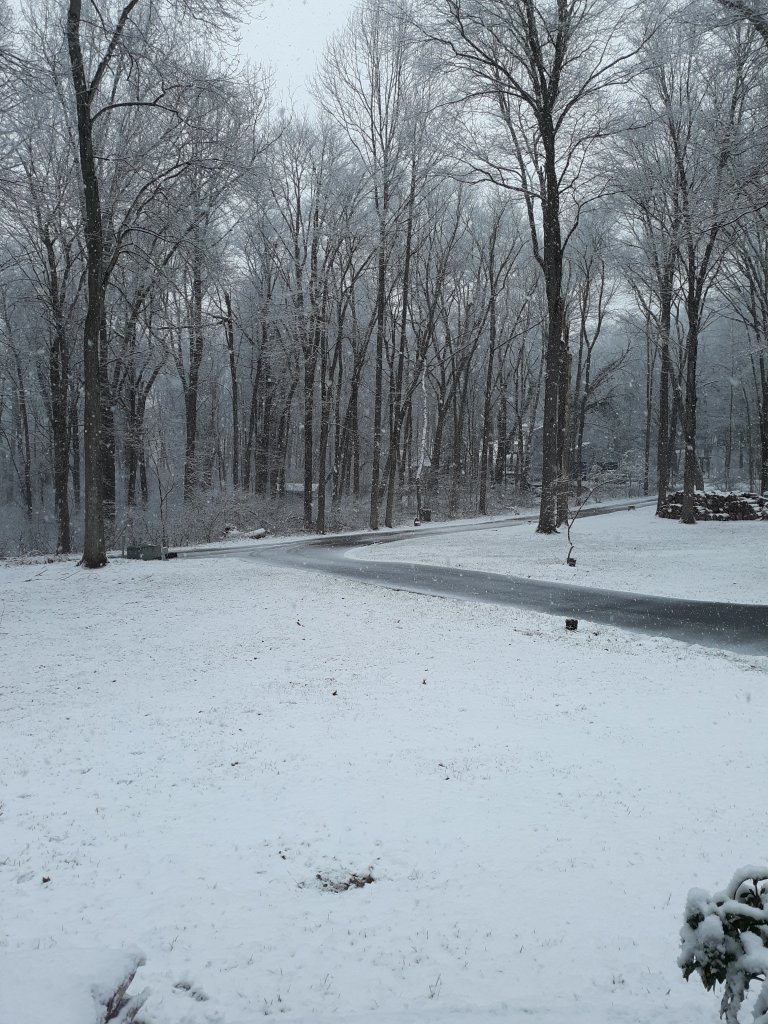 20200107_153953.jpg