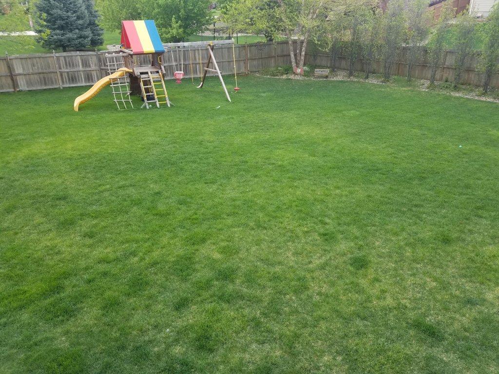 20200517_152030.jpg