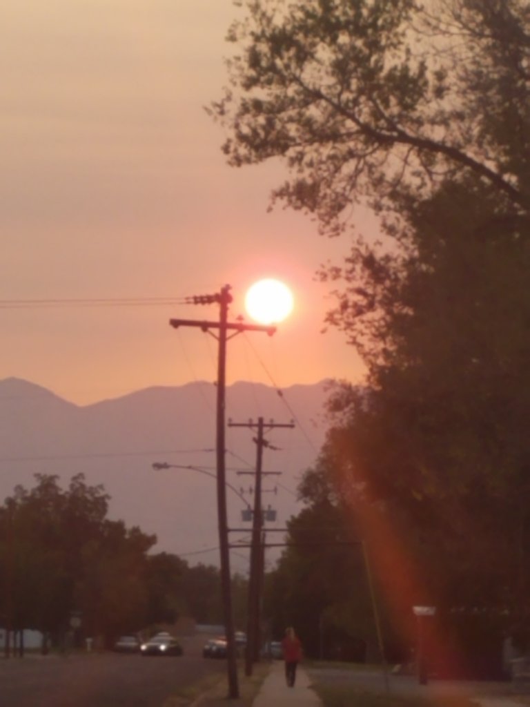 20200917_191313.jpg