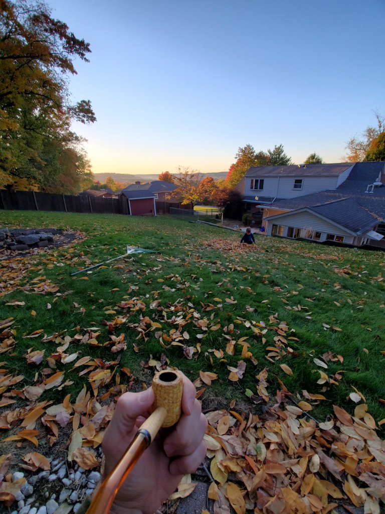 20201013_182107.jpg