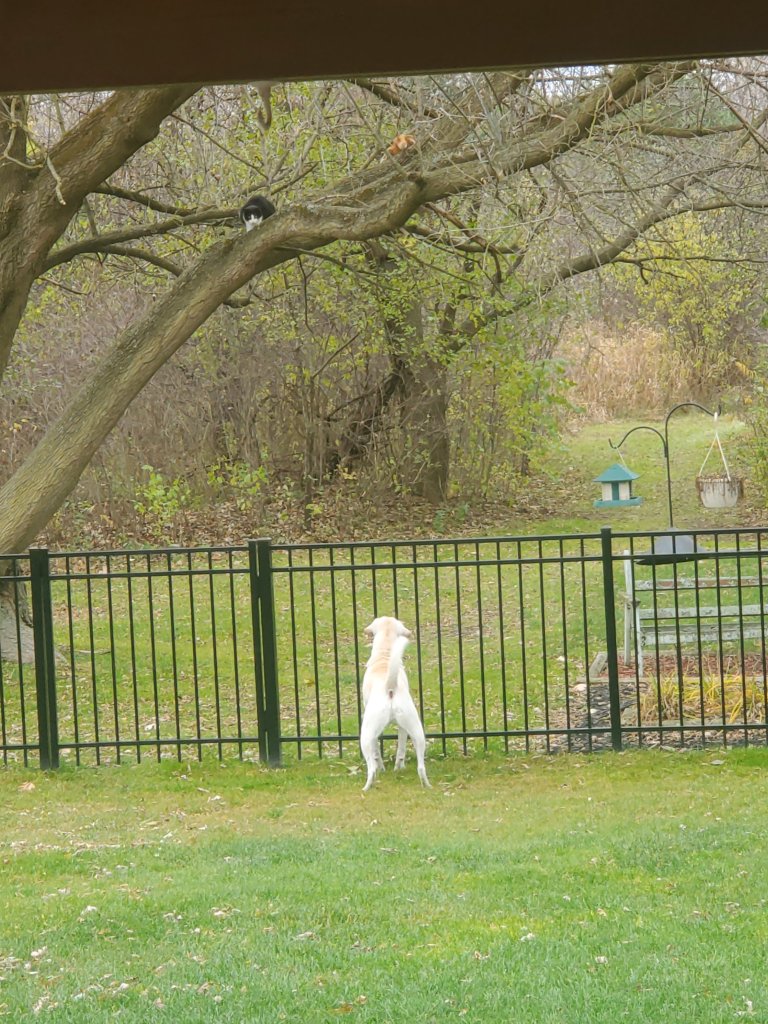 20201105_110405.jpg