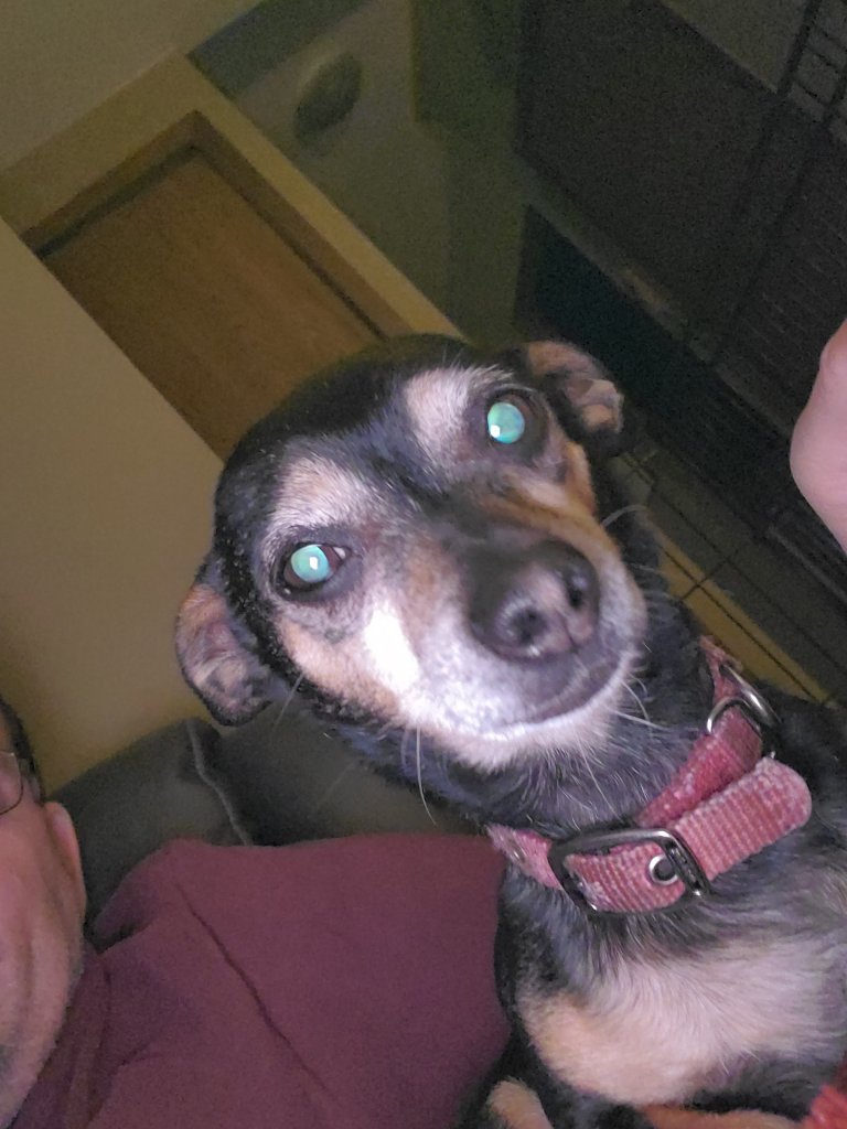 20201204_224113.jpg