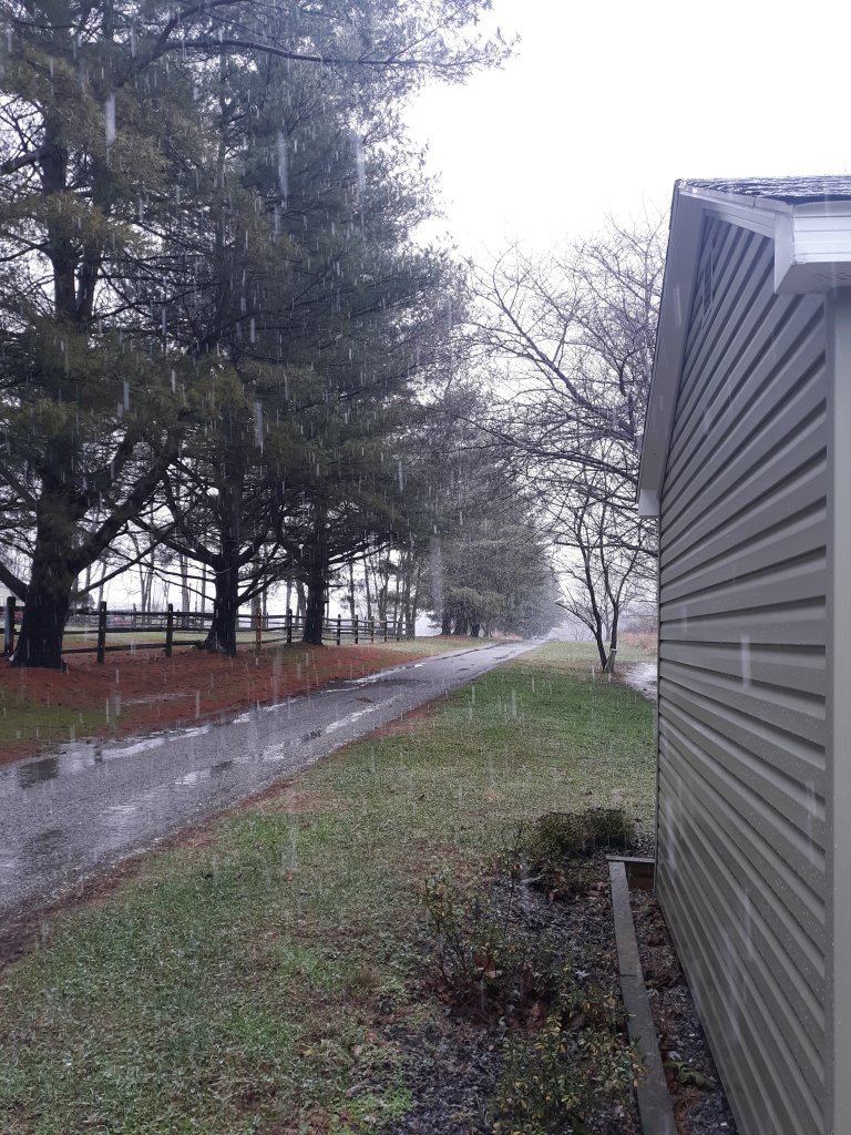 20201214_111732.jpg