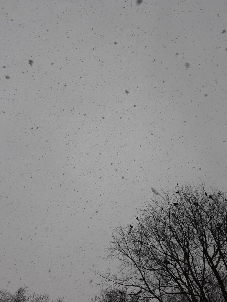 20201216_153808.jpg