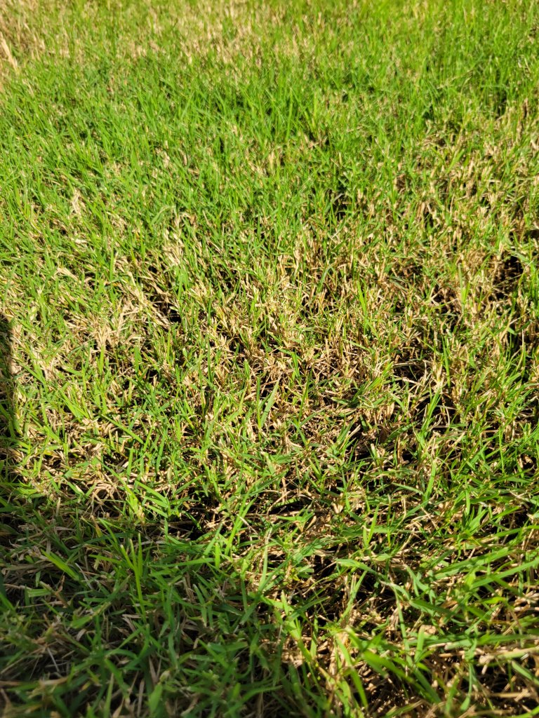 20210714_164912.jpg
