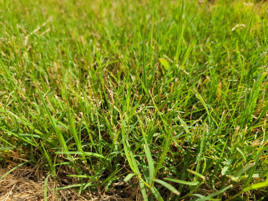 20210714_164927.jpg