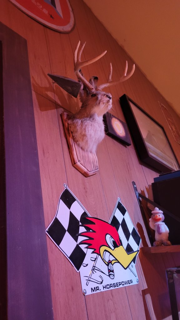20220616_160918.jpg