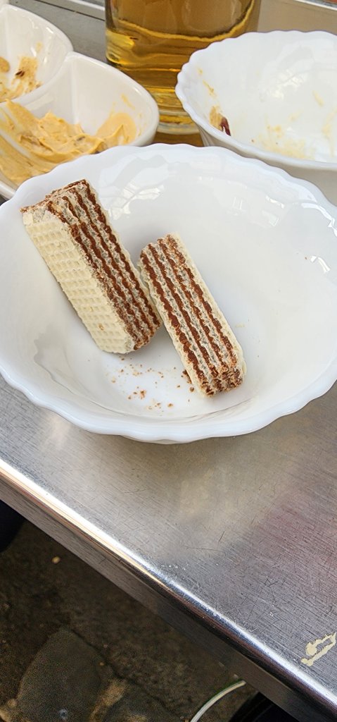 20230315_135118.jpg