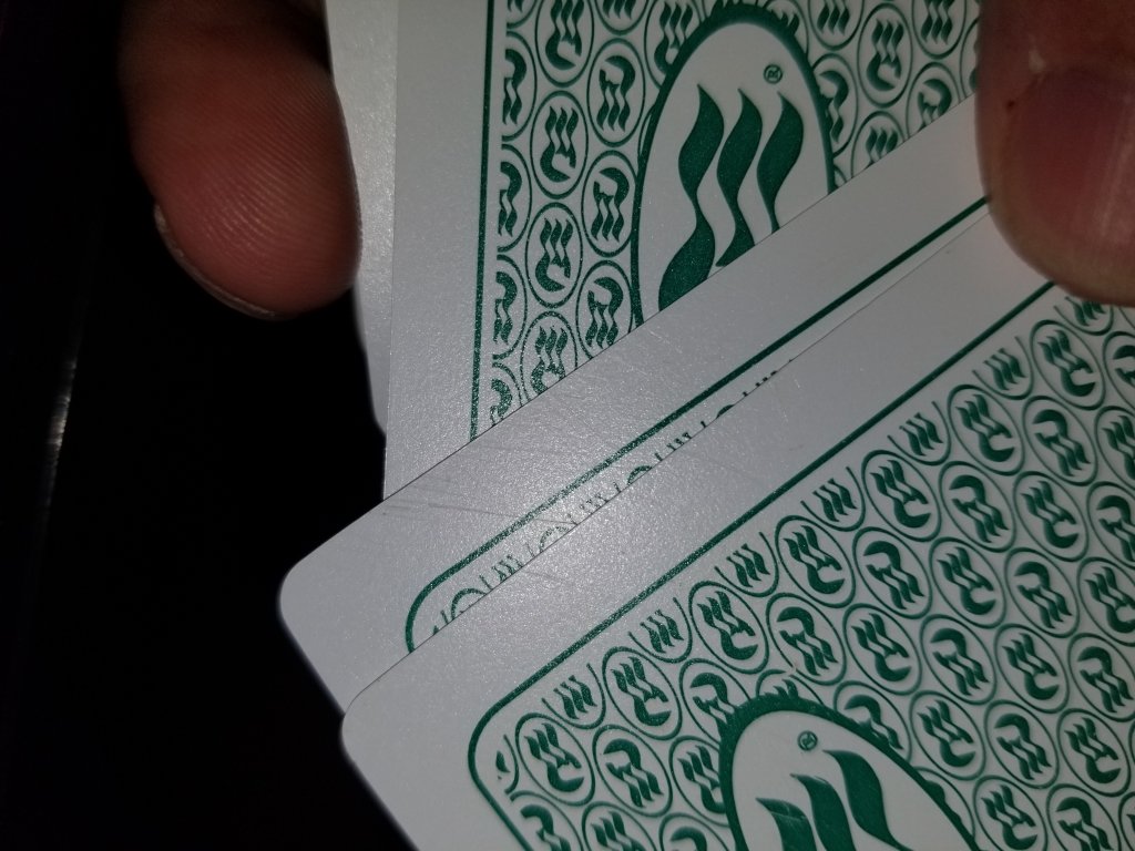 20230401_115150.jpg