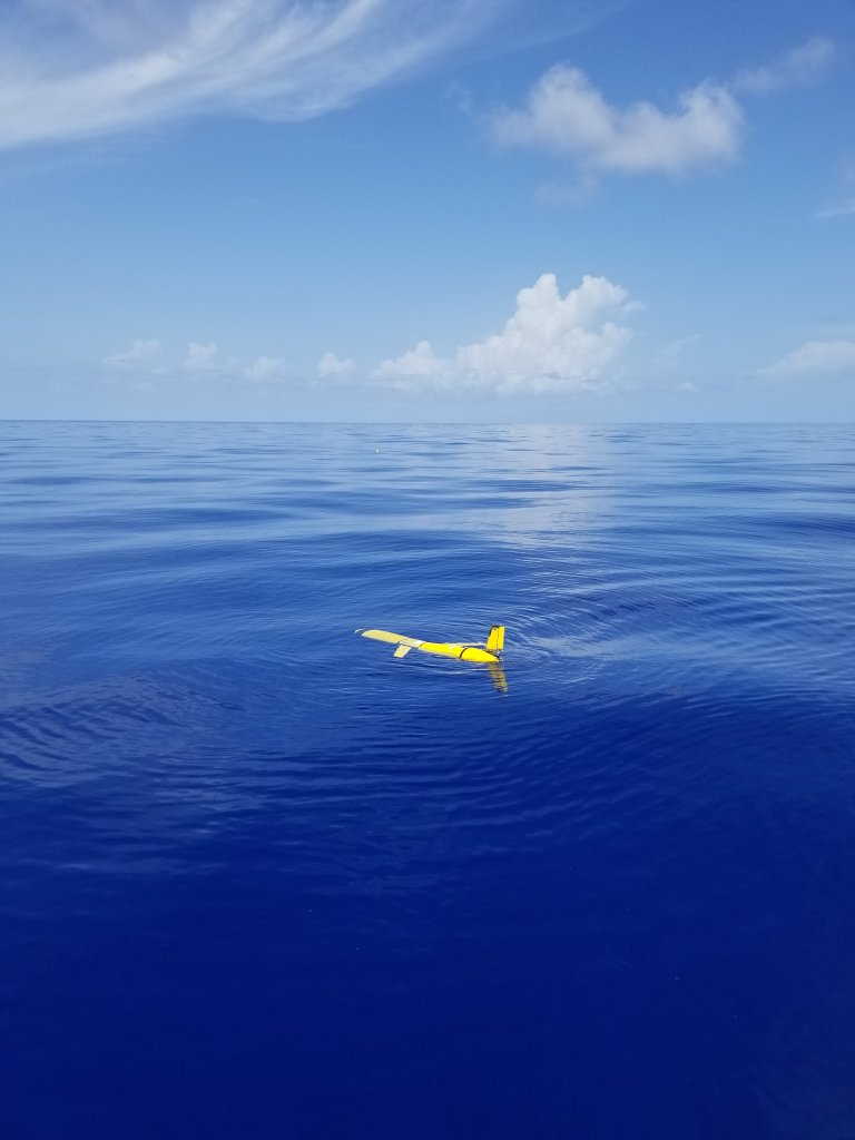 20230726_111024.jpg