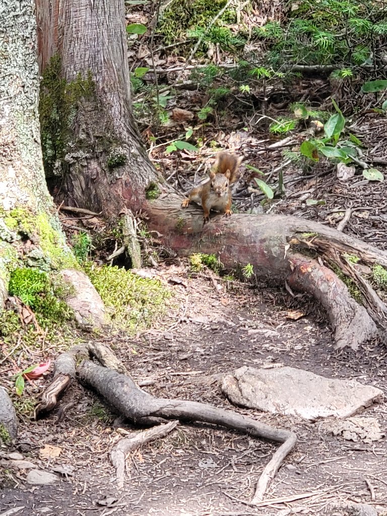 20230810_144251.jpg
