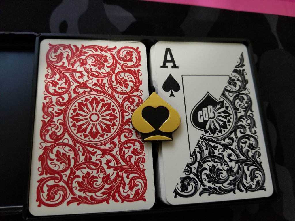 20230901_223800.jpg