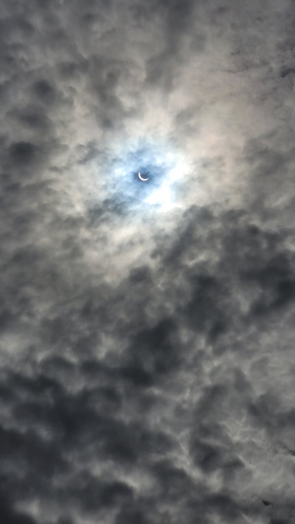 20240408_153227.jpg