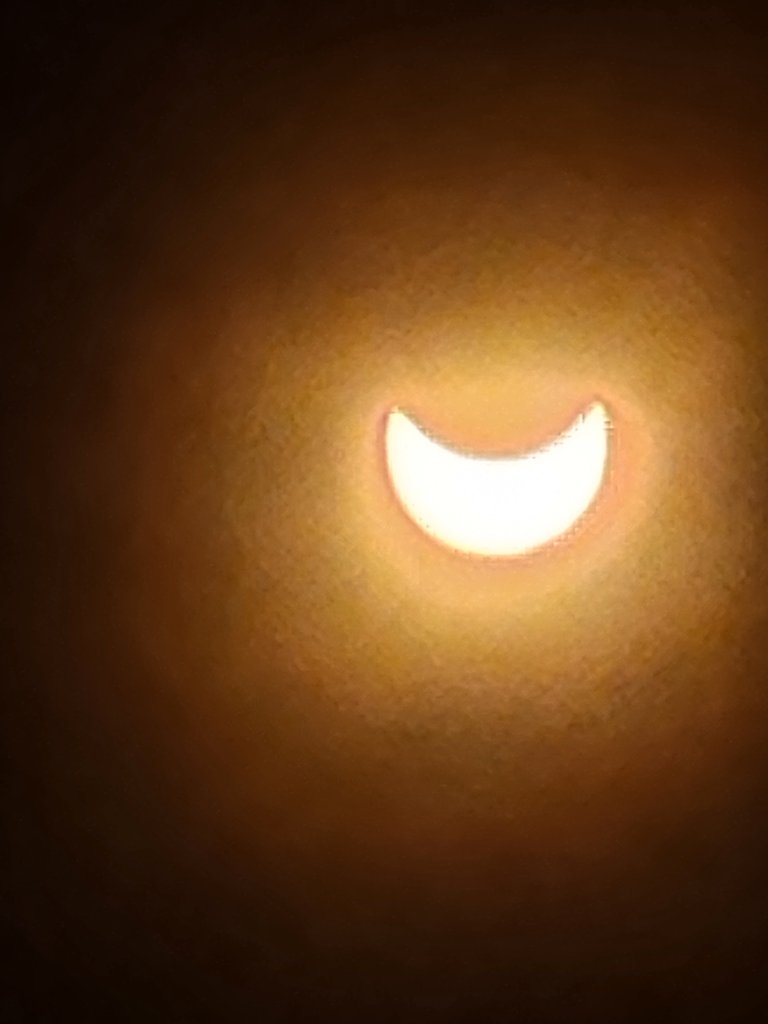 20240408_155131.jpg