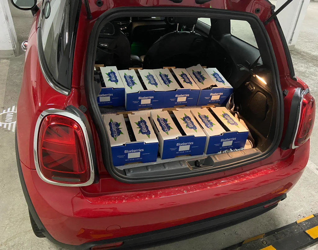 2025 Haul.webp