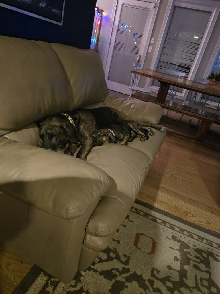 20260101_001325.webp