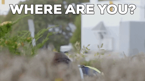 21DA7A7D-850D-4E5F-A827-DAB59E659B7E.gif