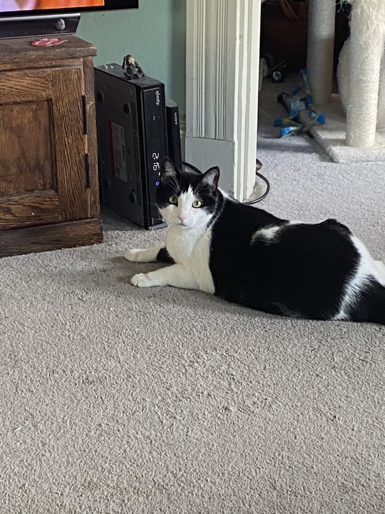 23B5600F-32C0-4B5B-871C-2E5C3A031768.jpeg