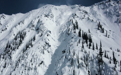 248EF0C5-EE22-4D21-A995-C5CF1AEAC7C4.gif
