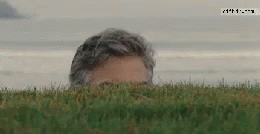 2651F94D-66F4-466C-9330-D8D1D022EEA6.gif