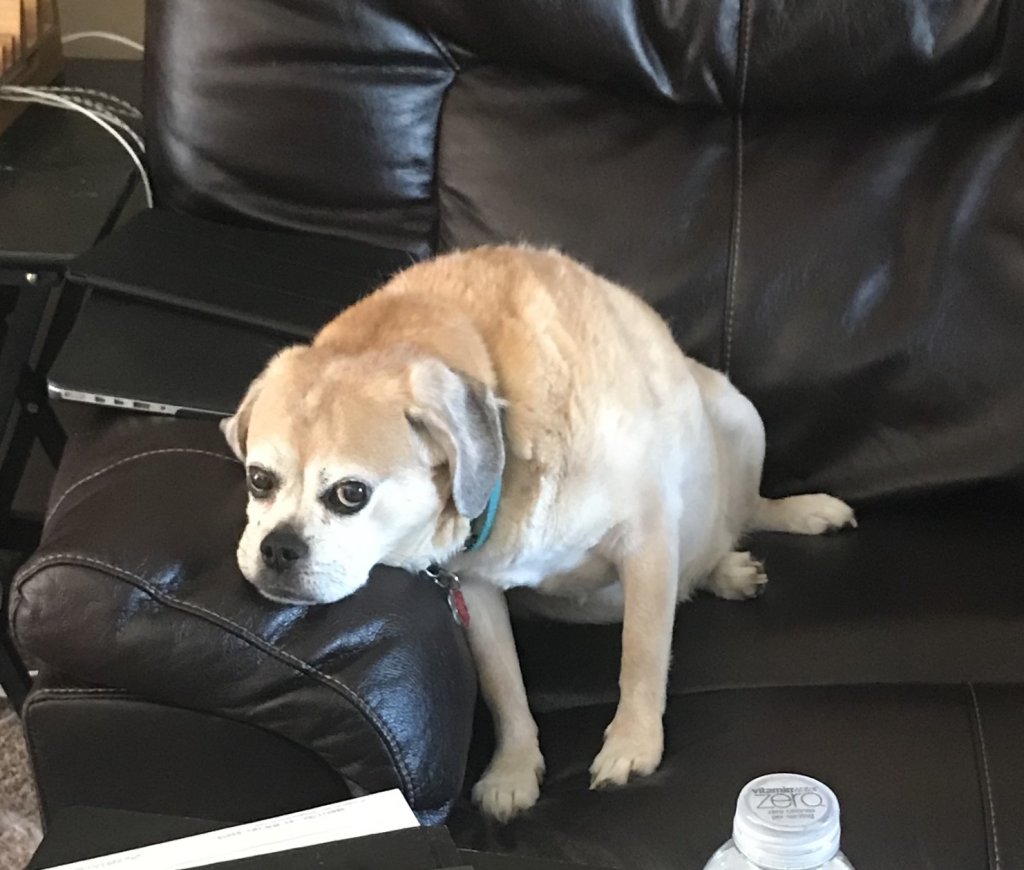 274652