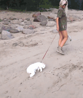 285D6344-E450-4947-9D56-2BA62D8B70A1.gif