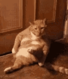 325235a3c3ecc47b2e0d841f7ccfea57.gif