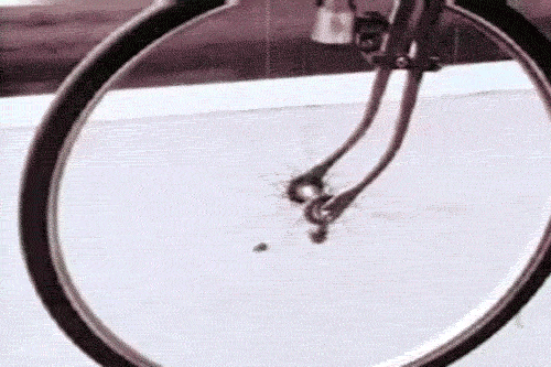 330B570A-F007-40B0-8A5B-D7AF452C62E4.gif