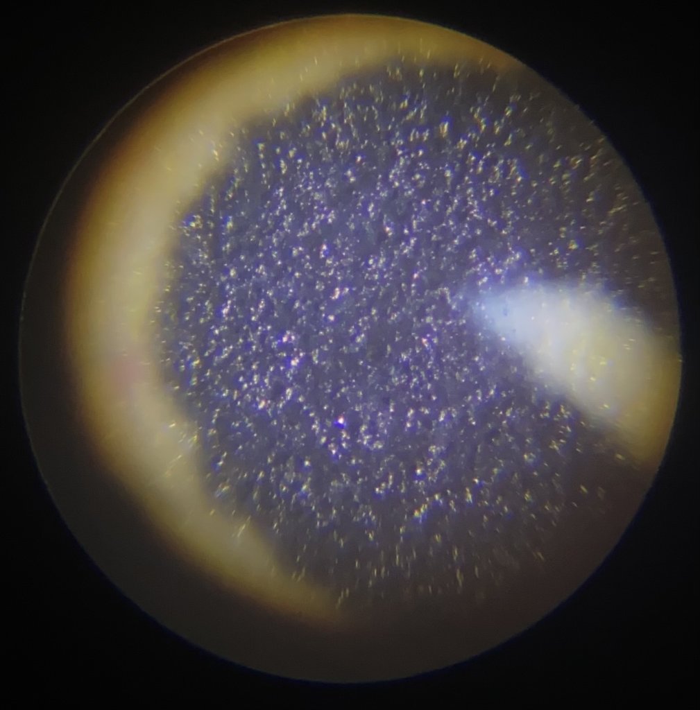 34357425-6E7C-455B-9D40-149911CE7E62.jpeg