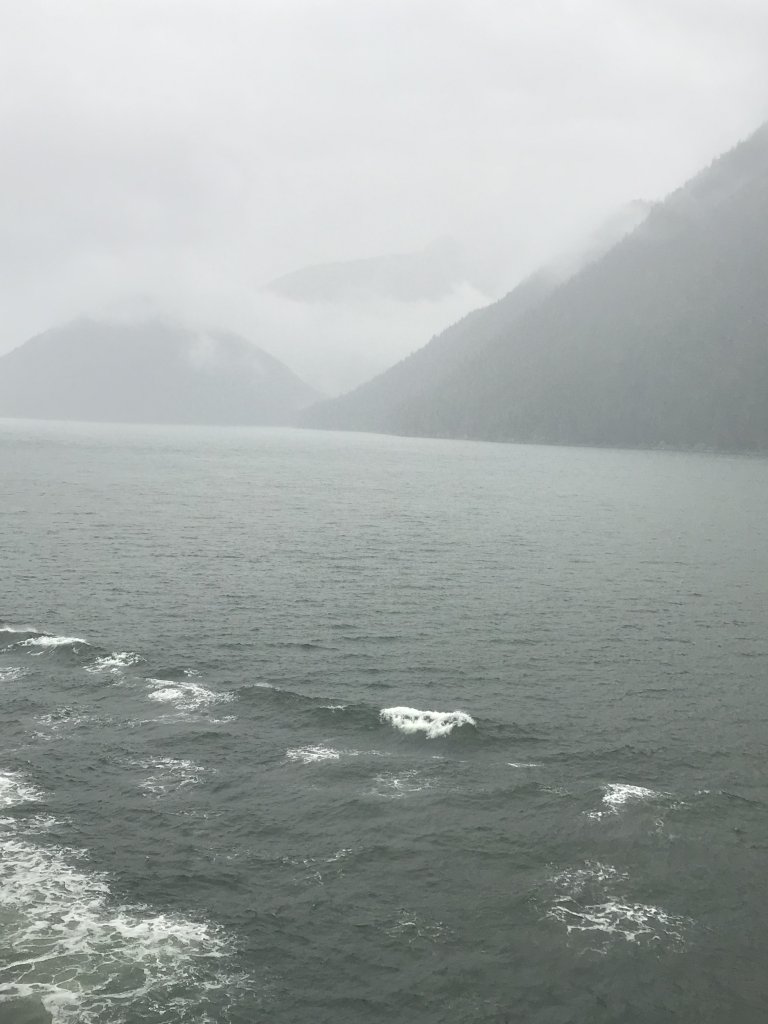35294F0A-8E60-488B-892F-D45DE850ED2A.jpeg