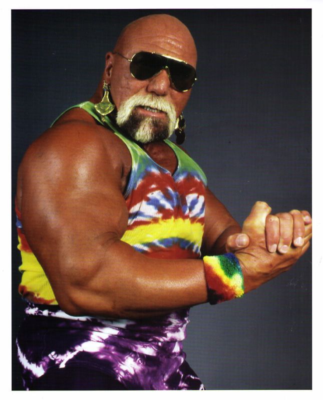 35308e2e4a4cdccfa5790e3aa7b26448--superstar-billy-graham-professional-wrestling.jpg