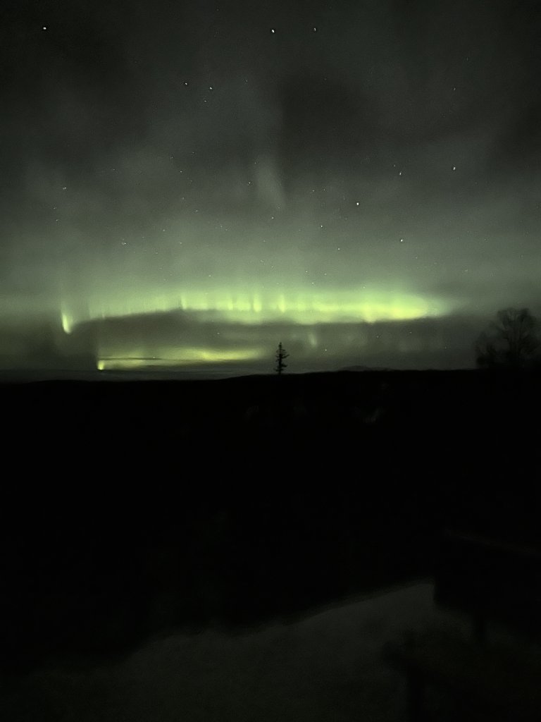 363CBA9E-BC74-4572-BAFB-27109EBB6CF6.jpeg