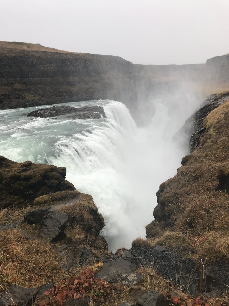 36D26A17-F0D1-4817-B8C5-3EE86475E0F6.jpeg