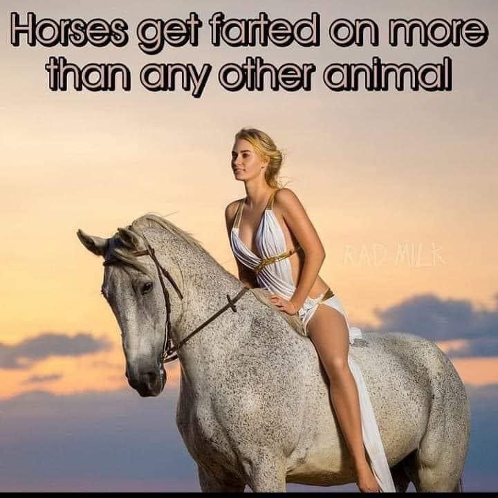 37F73C02-015A-4A02-9846-4AB80CE71D74.jpeg