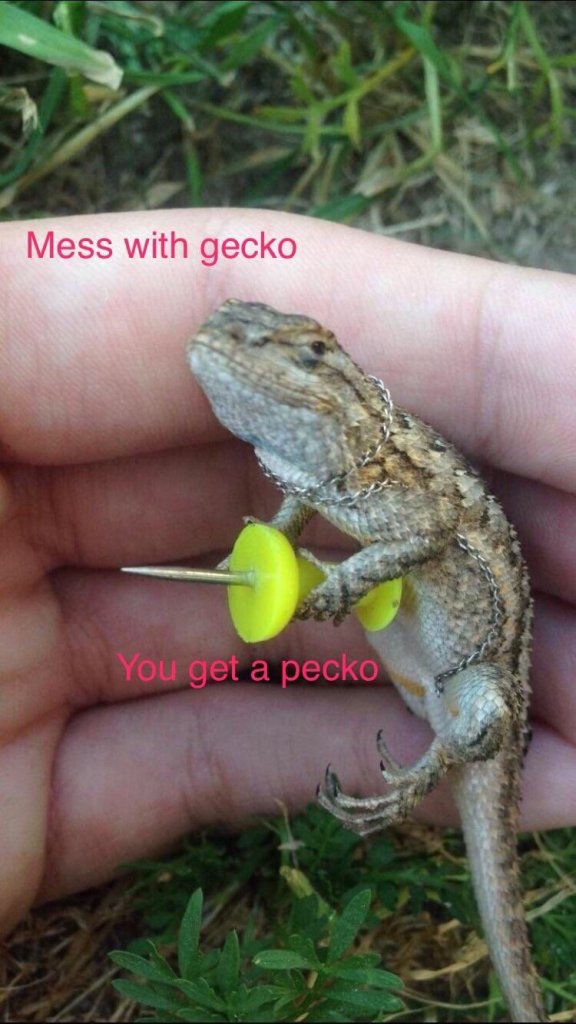 393DEE19-C8A2-47C8-ABC1-C395F230DBD6.jpeg