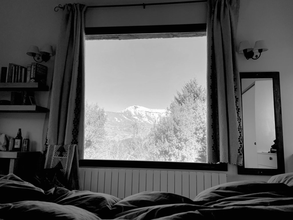 3A2E1089-28C3-440E-91E1-470D93F36D45.jpeg