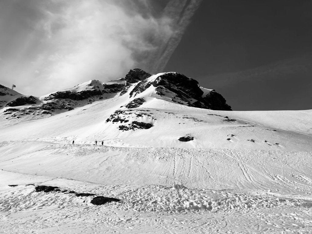 3BD552E9-F441-4F1B-9D71-514E3DF844D9.jpeg