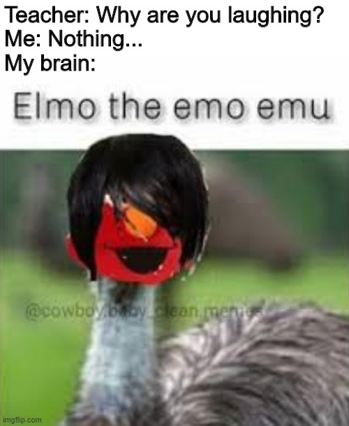 3ru25q.jpg