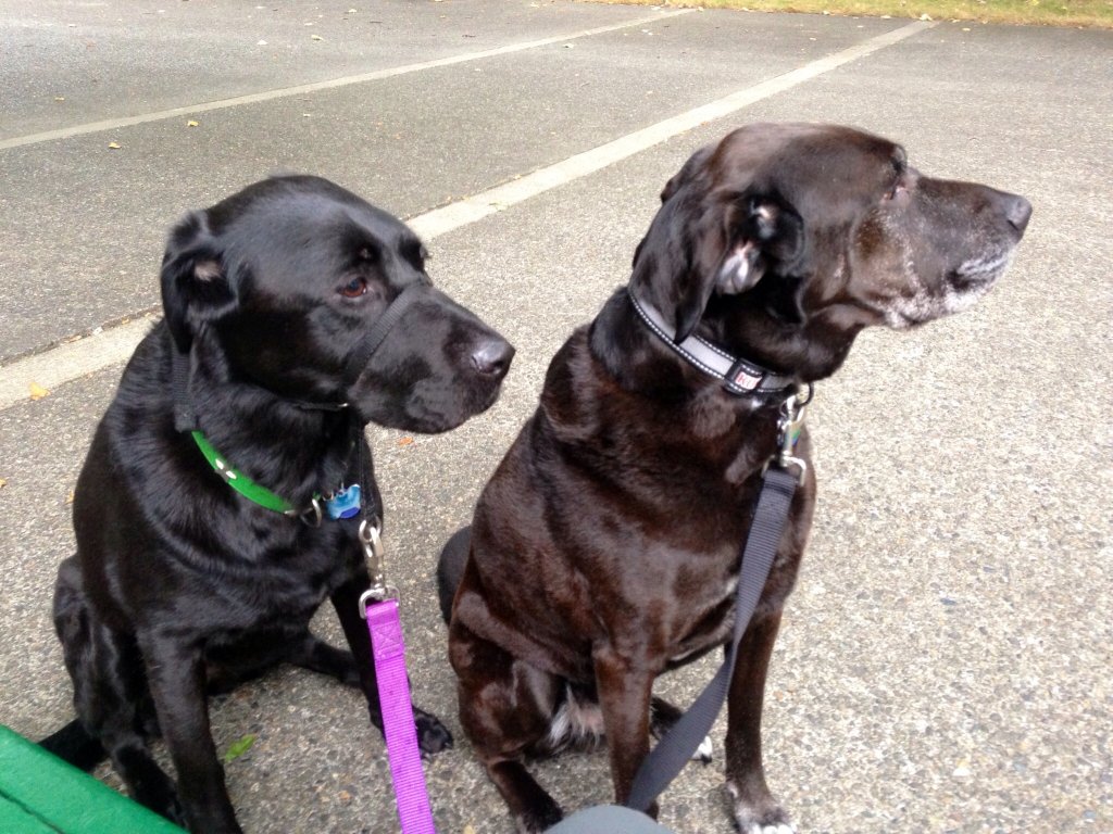 41463579-4464-4FEB-A274-5A7E25CD6567.jpeg