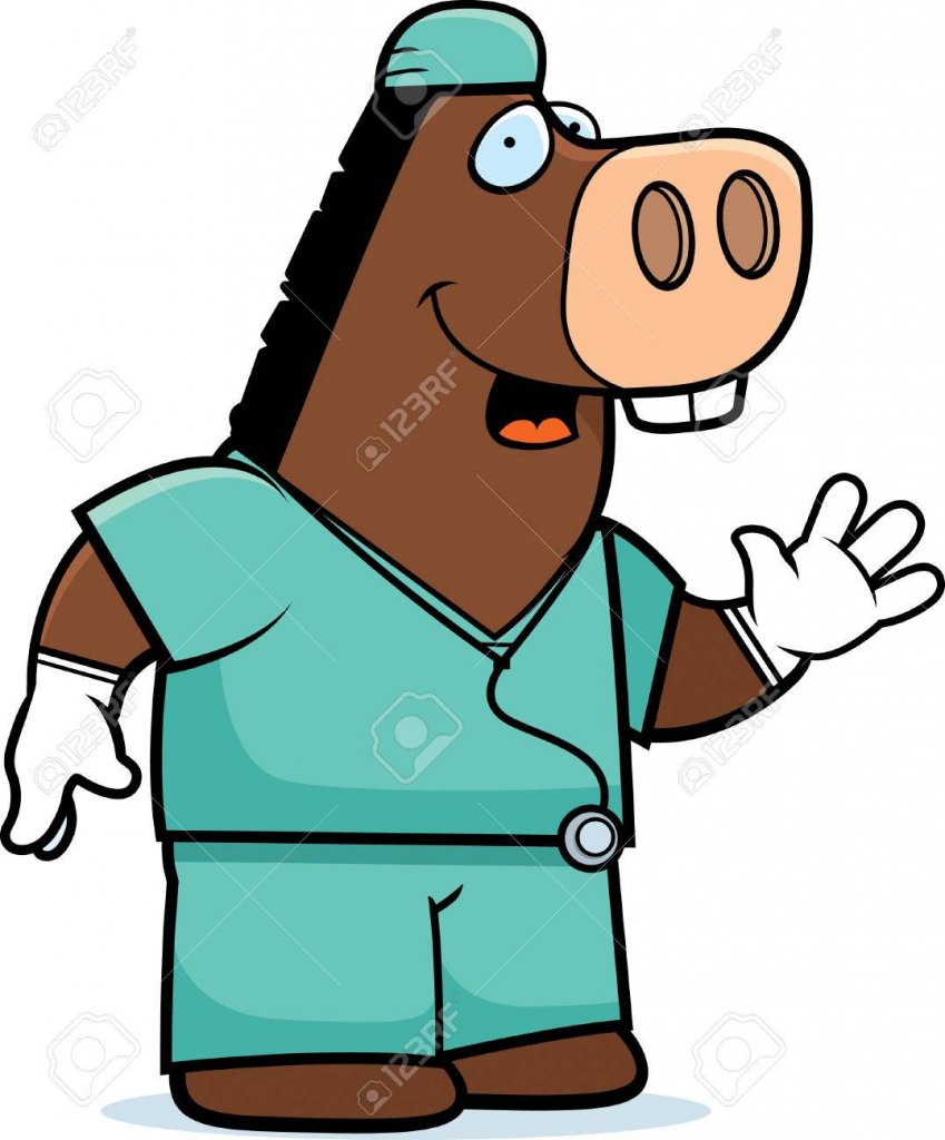 42587144-a-cartoon-illustration-of-an-donkey-doctor-in-scrubs-.jpg