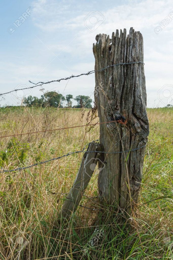 44060021-closeup-of-an-old-and-weathered-wooden-post-with-barbed-wire-in-a-rural-area-in-the-s...jpg